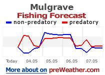 Mulgrave fishing forecast