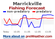 Marrickville fishing forecast