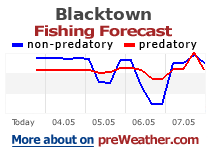 Blacktown fishing forecast