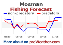 Mosman fishing forecast