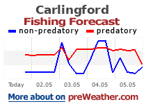 Carlingford fishing forecast