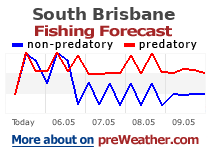 South Brisbane fishing forecast