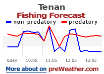Tenan fishing forecast