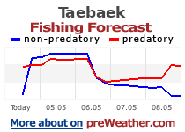 Taebaek fishing forecast