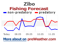 Zibo fishing forecast