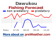 Dawukou fishing forecast