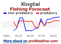 Xingtai fishing forecast