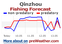 Qinzhou fishing forecast