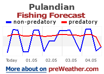 Pulandian fishing forecast