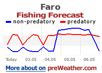 Faro fishing forecast