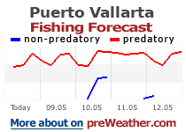 Puerto Vallarta fishing forecast